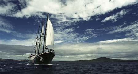 rainbow warrior.jpg
