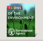 icons.jpg