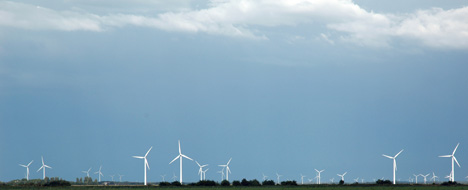 wind-farm.jpg