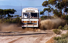 ozbus.jpg
