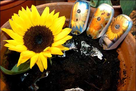 sunflower-phone.jpg