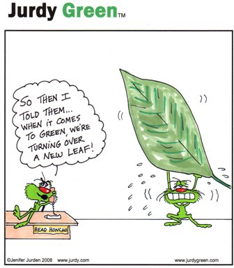 jg-0092-leaf-turning-a-new-leaf-huge-leaf-color.jpeg