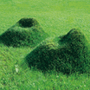 grass-chair.gif